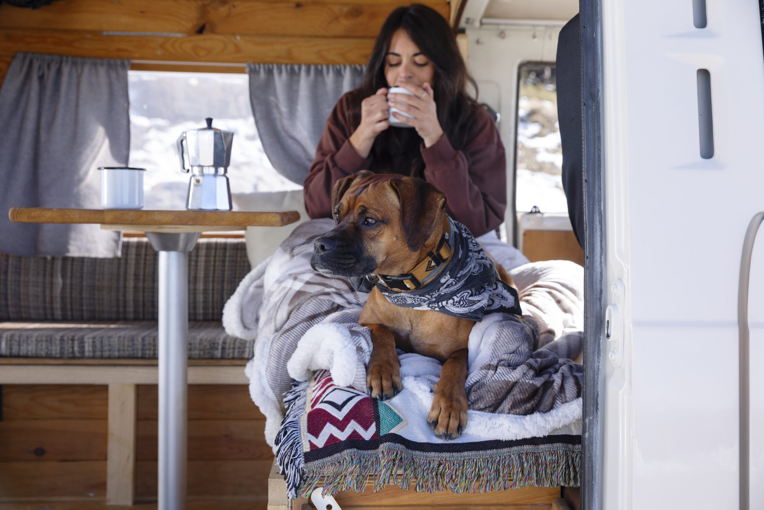 Viajar con tu perro en una furgoneta camper es una experiencia inigualable. Compartir momentos en la carretera con tu mascota no solo fortalece el vínculo, sino que también añade diversión y compañía a tus aventuras.